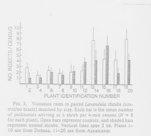 התוצאות שקיבלו דבסה והררה (1985) כאשר בדקו את העדפת המאביקים לתפרחות בעלות דגל לעומת תפרחות חסרות דגל
